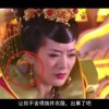 什么生肖摇头摆尾玩世不恭